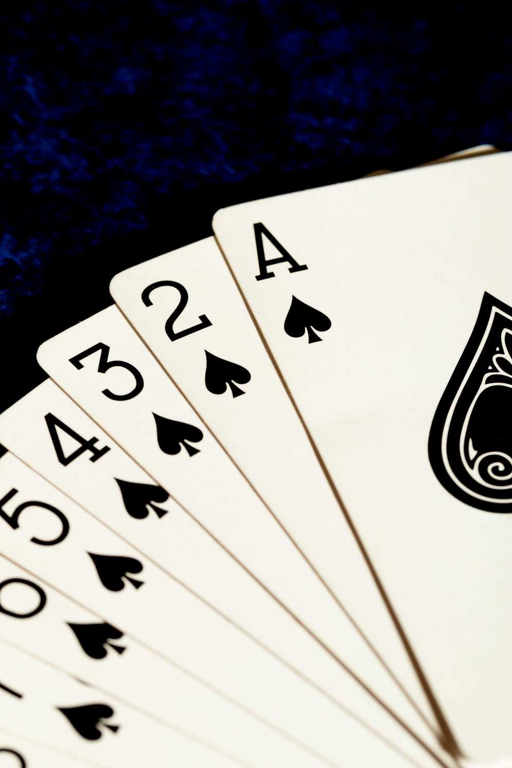 casino Fatboss